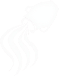 Zodiac 11