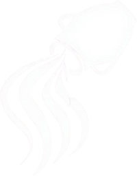 Zodiac 11