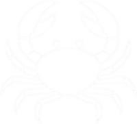 Zodiac 4