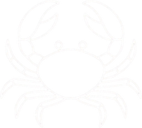 Zodiac 4