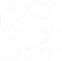 Zodiac 12