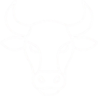 Zodiac 2