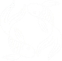 Zodiac 12