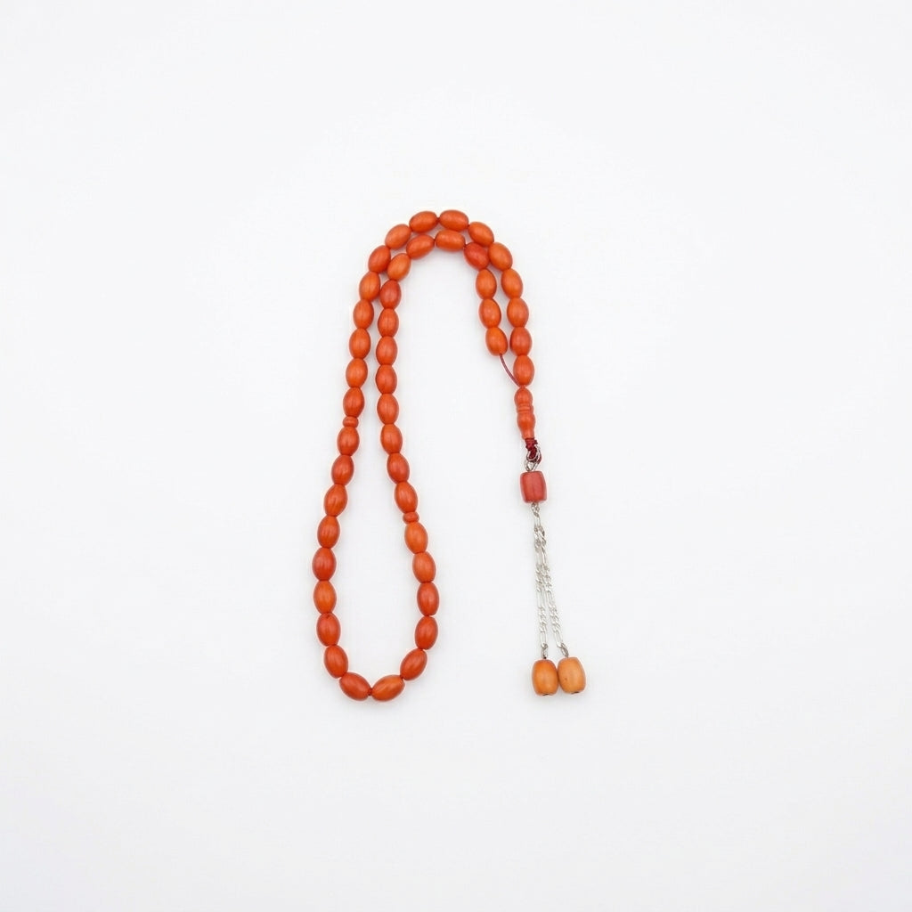 Laseric Coral Sebha Atiq and Jade